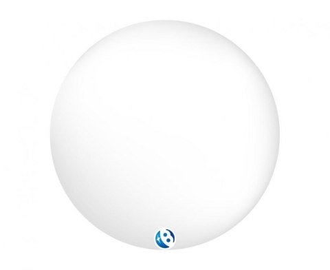 Balon Transparentny 24' Qualatex Bubble Deco Balon Transparentny 24' Qualatex Bubble Deco