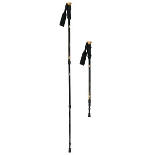 NW-TK19 KIJE TREKKING/NORDIC WALKING 50% CARBON